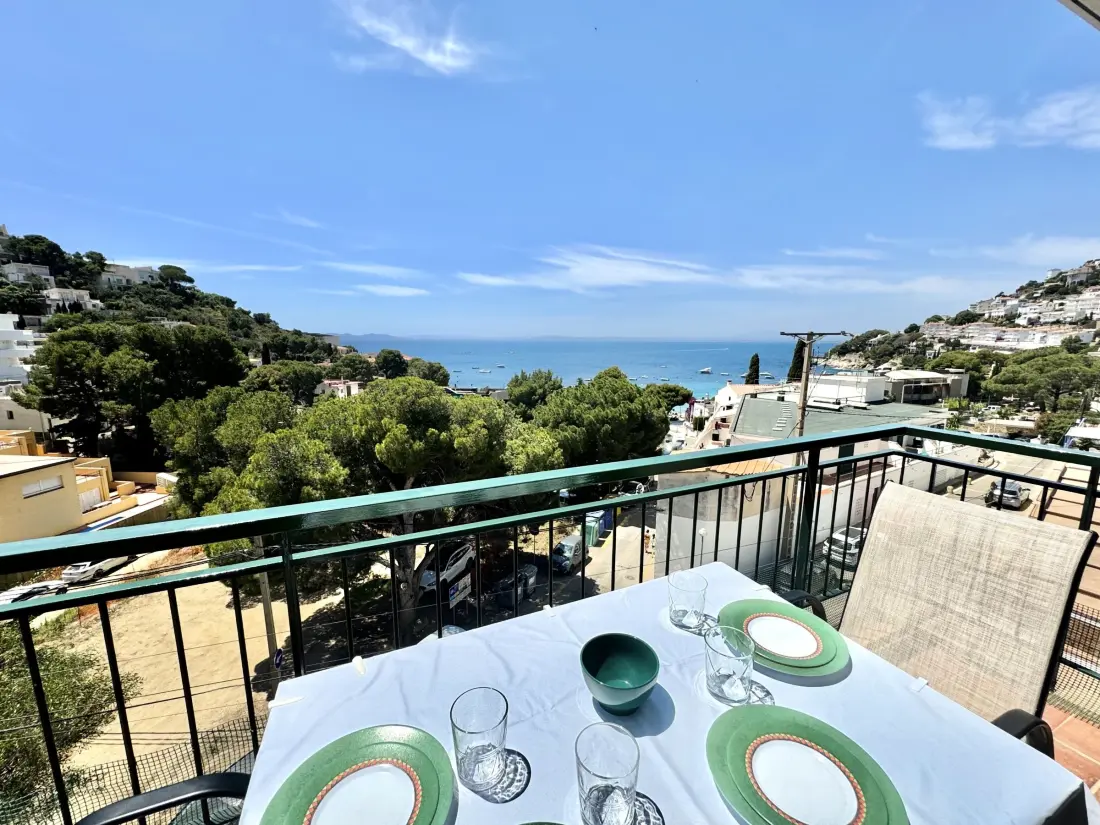 Location de Vacances Roses 471