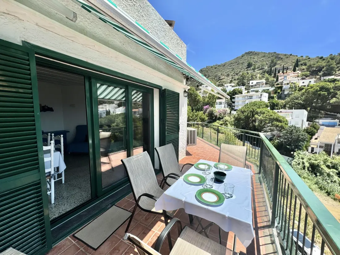 Location de Vacances Roses 471