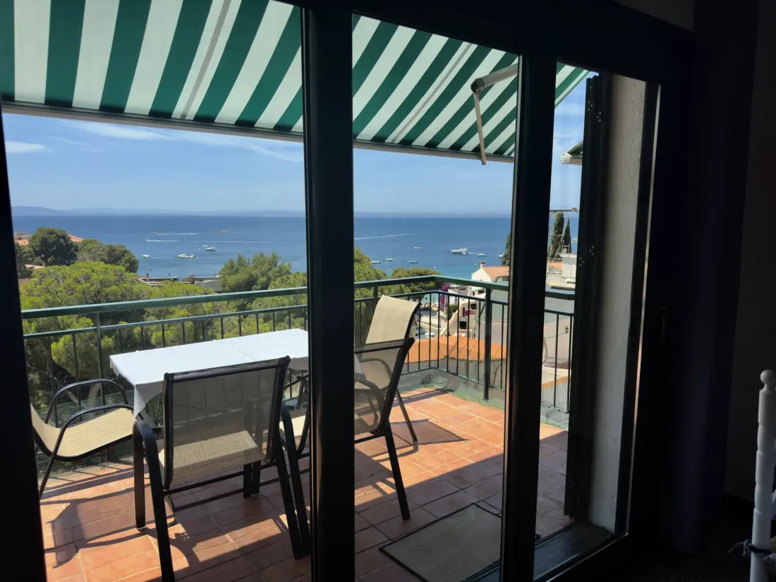 Location de Vacances Roses 471