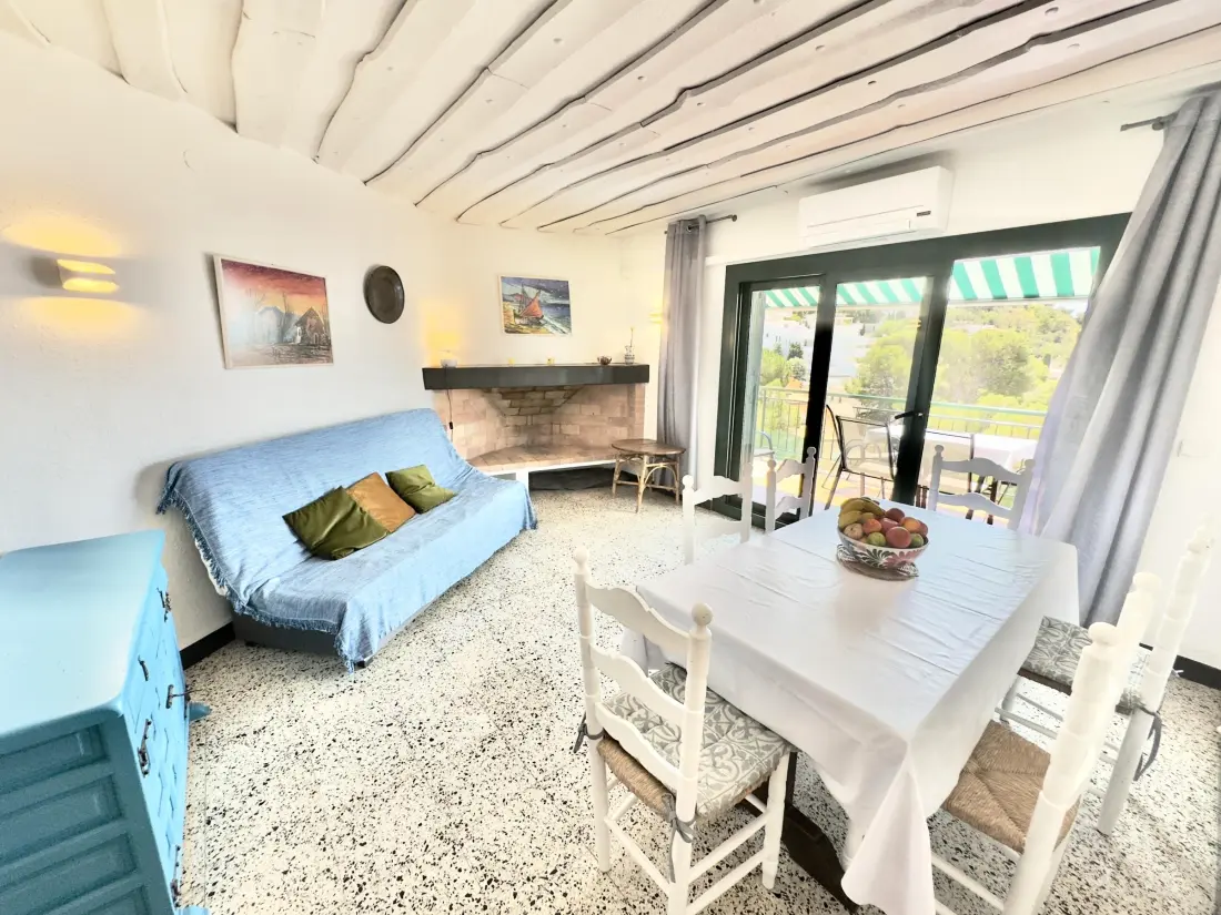 Location de Vacances Roses 471