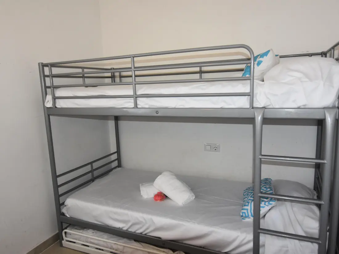 Location de Vacances Roses 475