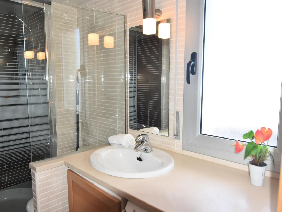 Location de Vacances Roses 475