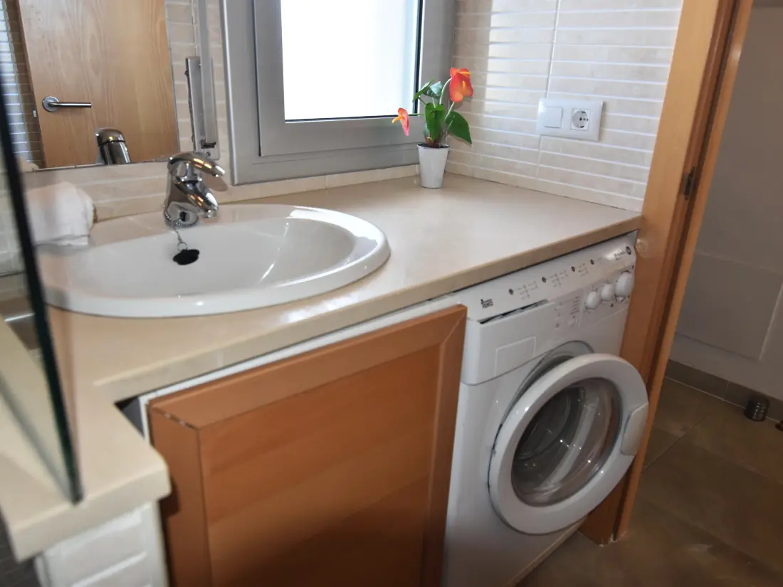 Location de Vacances Roses 475