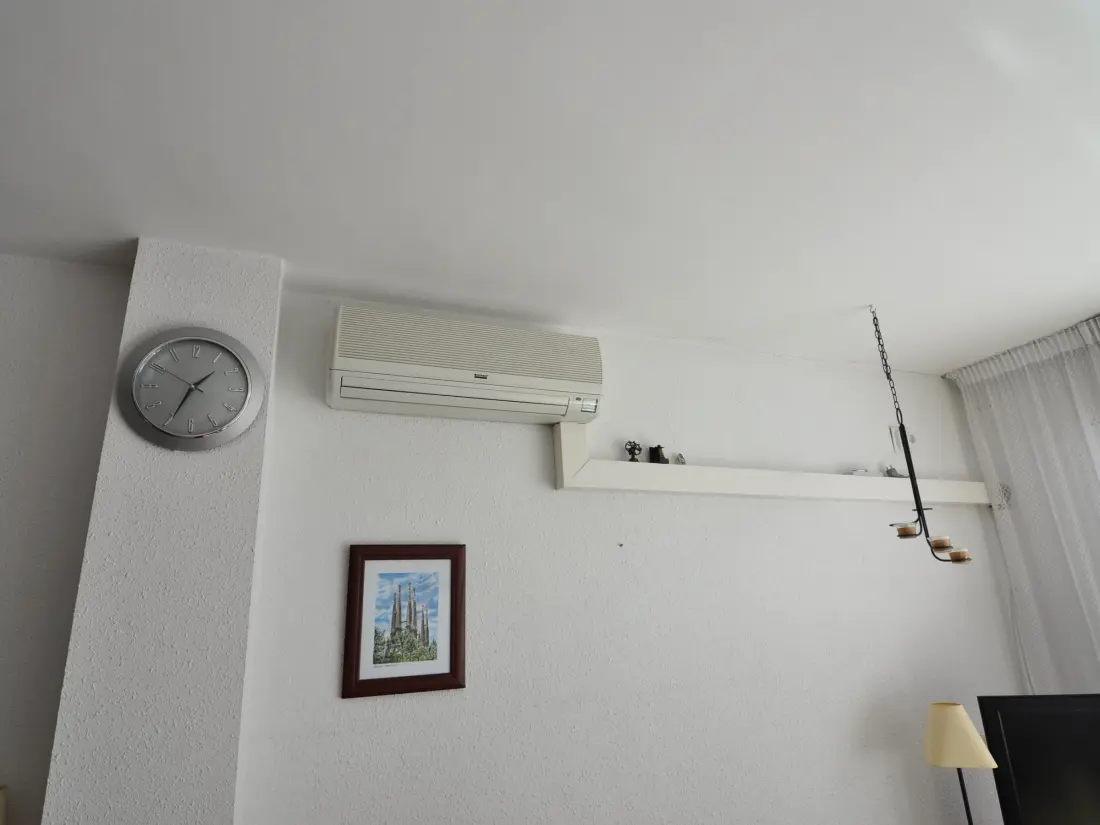 Location de Vacances Roses 476