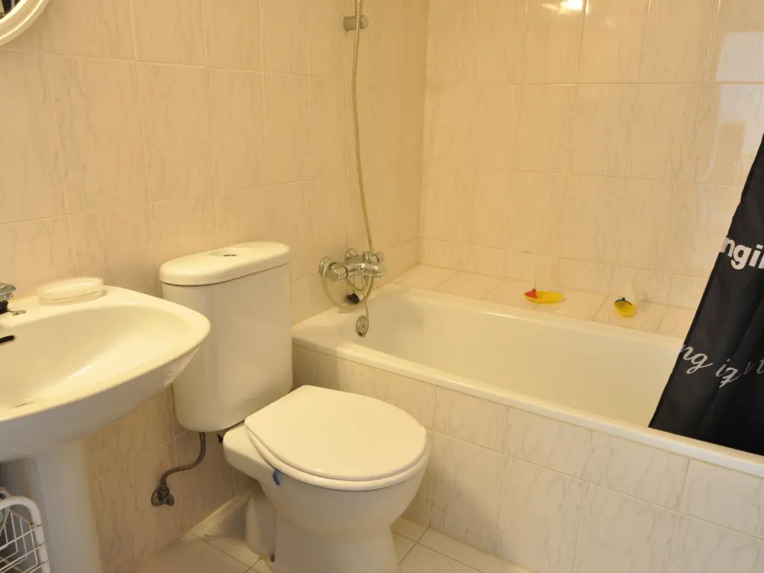 Location de Vacances Roses 476