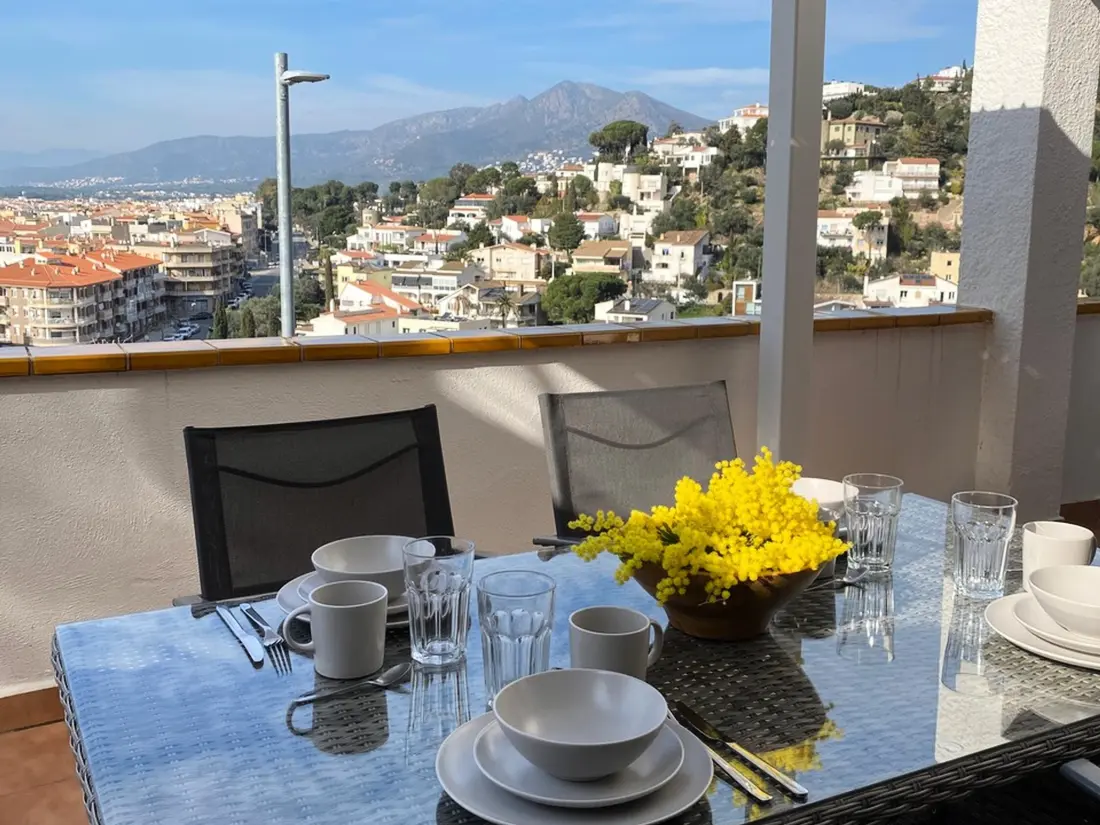 Location de Vacances Roses 481