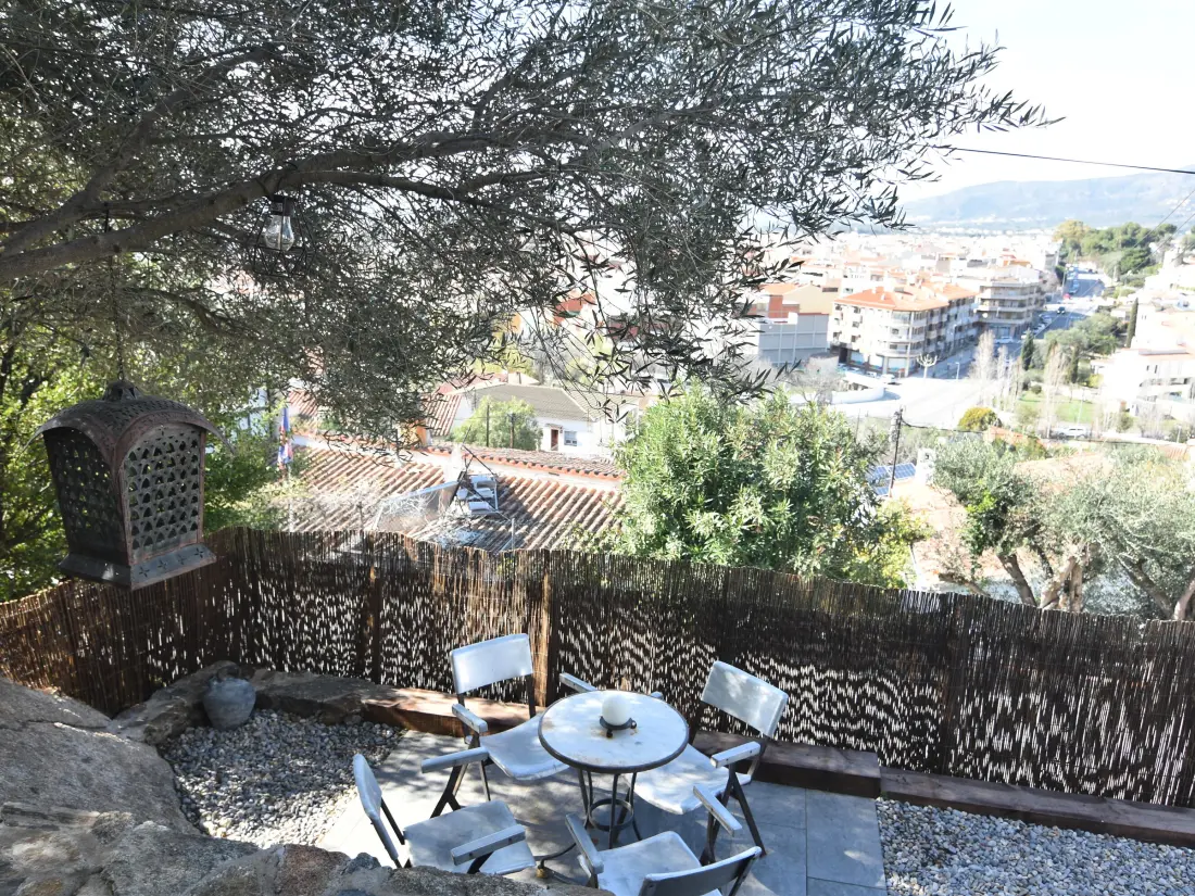 Location de Vacances Roses 481