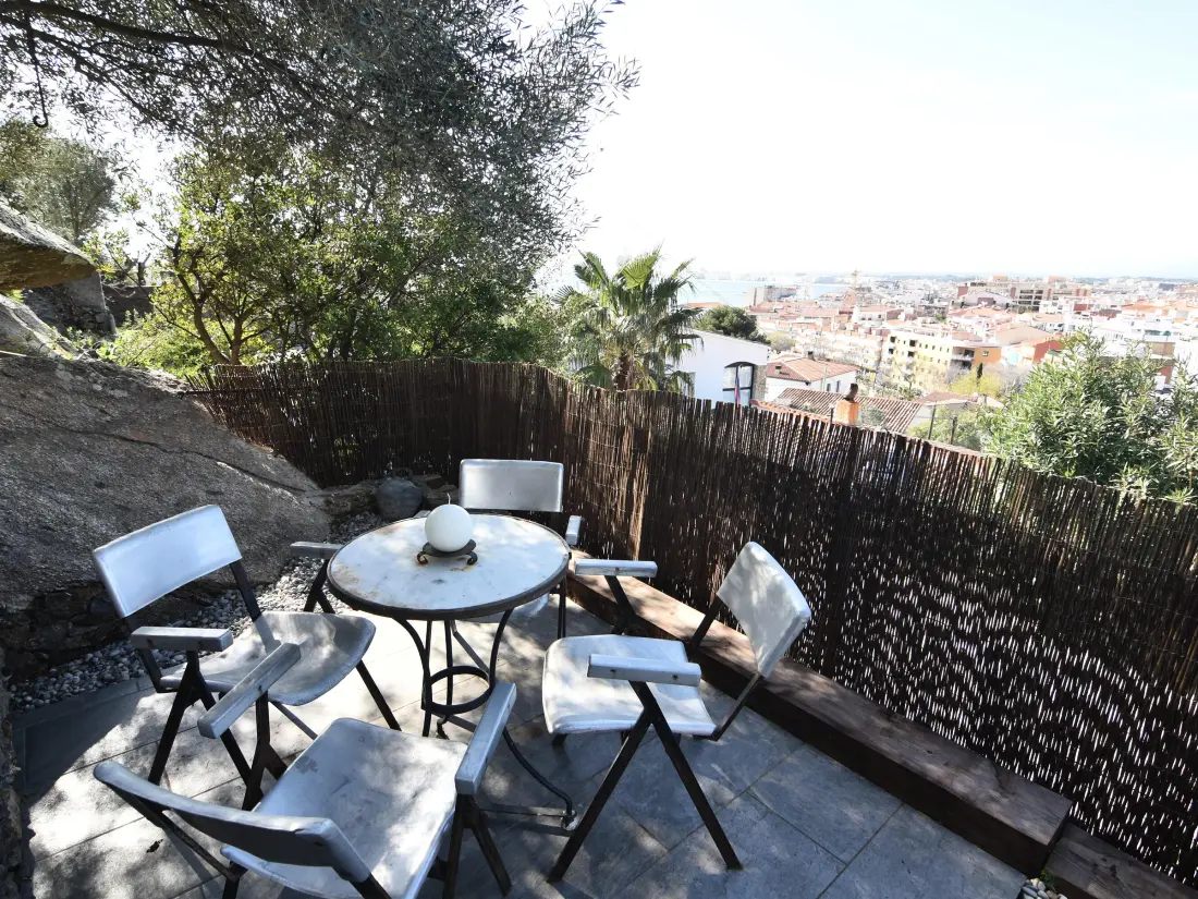 Location de Vacances Roses 481