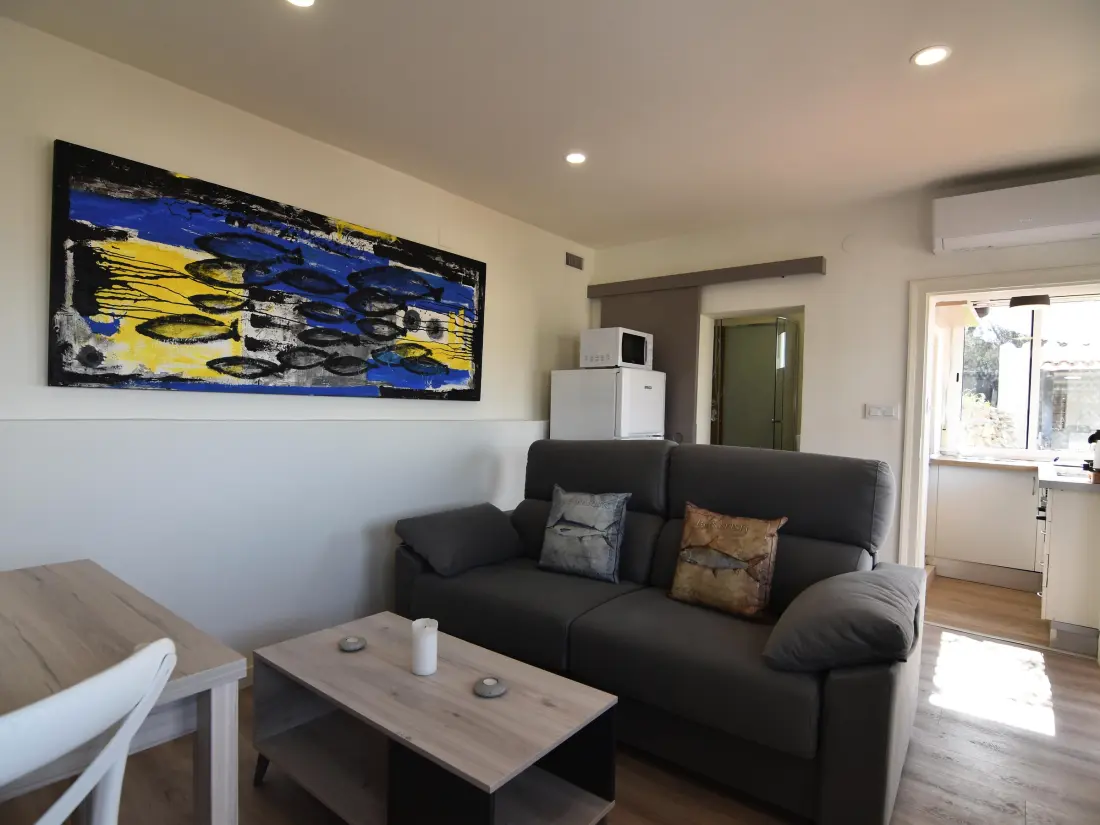 Location de Vacances Roses 481