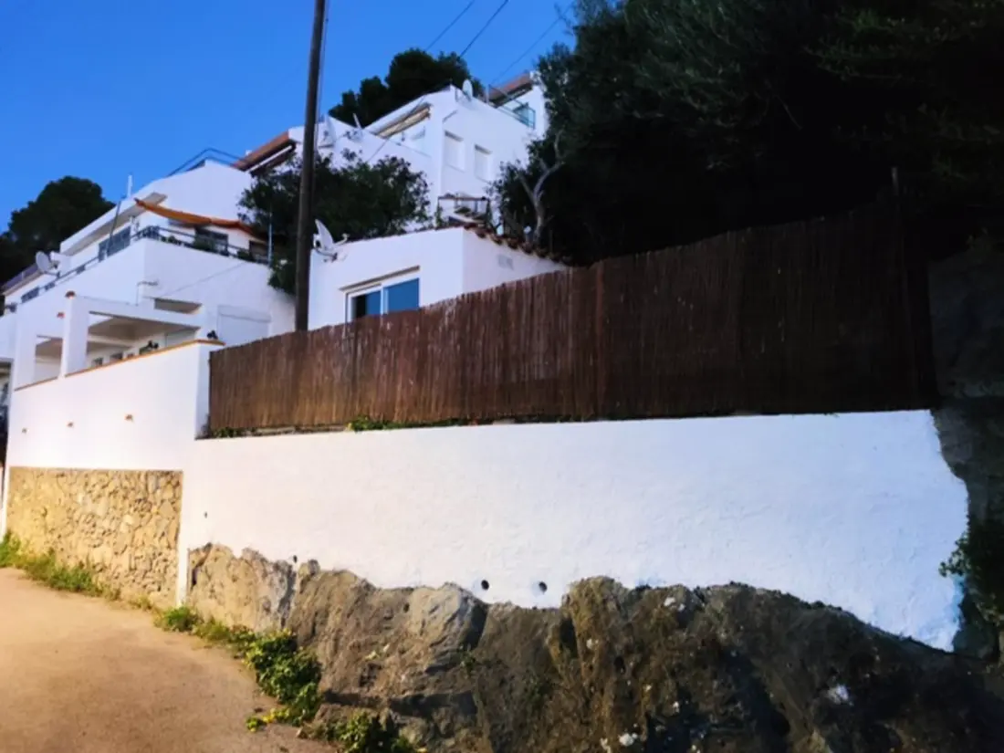 Location de Vacances Roses 481