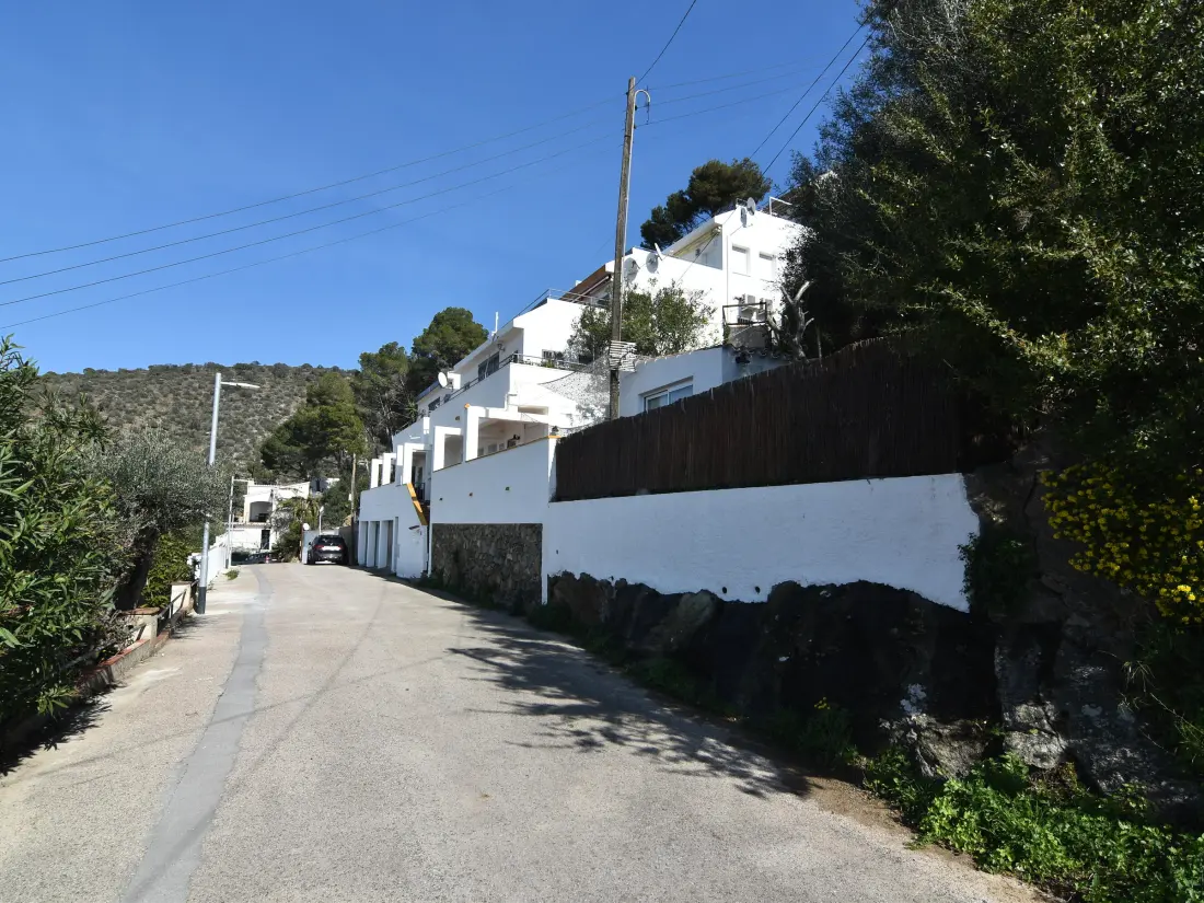 Location de Vacances Roses 481