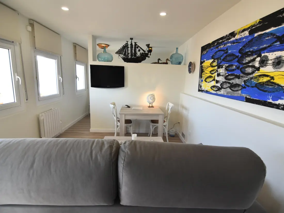 Location de Vacances Roses 481