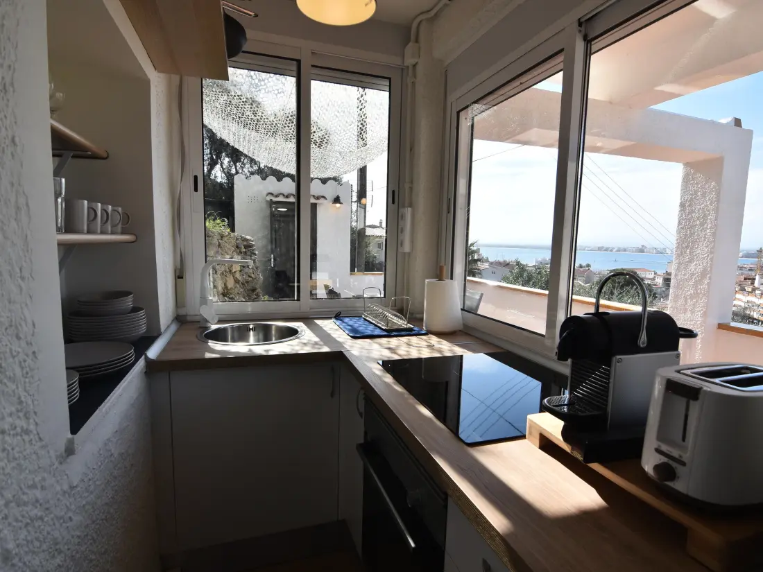 Location de Vacances Roses 481