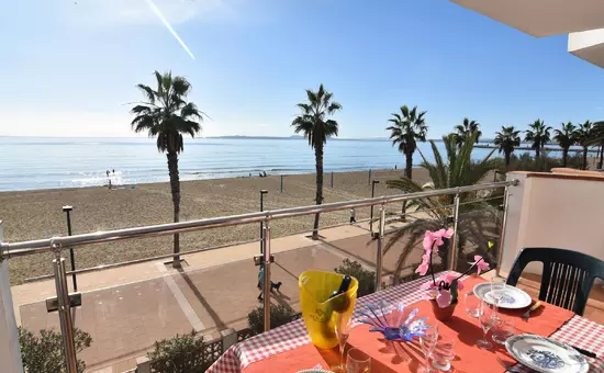 Location de Vacances Roses 483