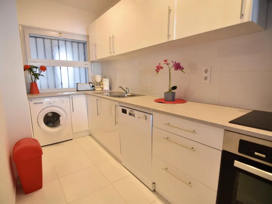 Location de Vacances Roses 483