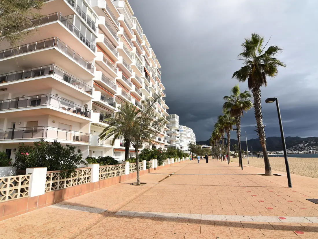 Location de Vacances Roses 483