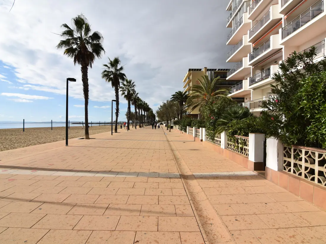 Location de Vacances Roses 483