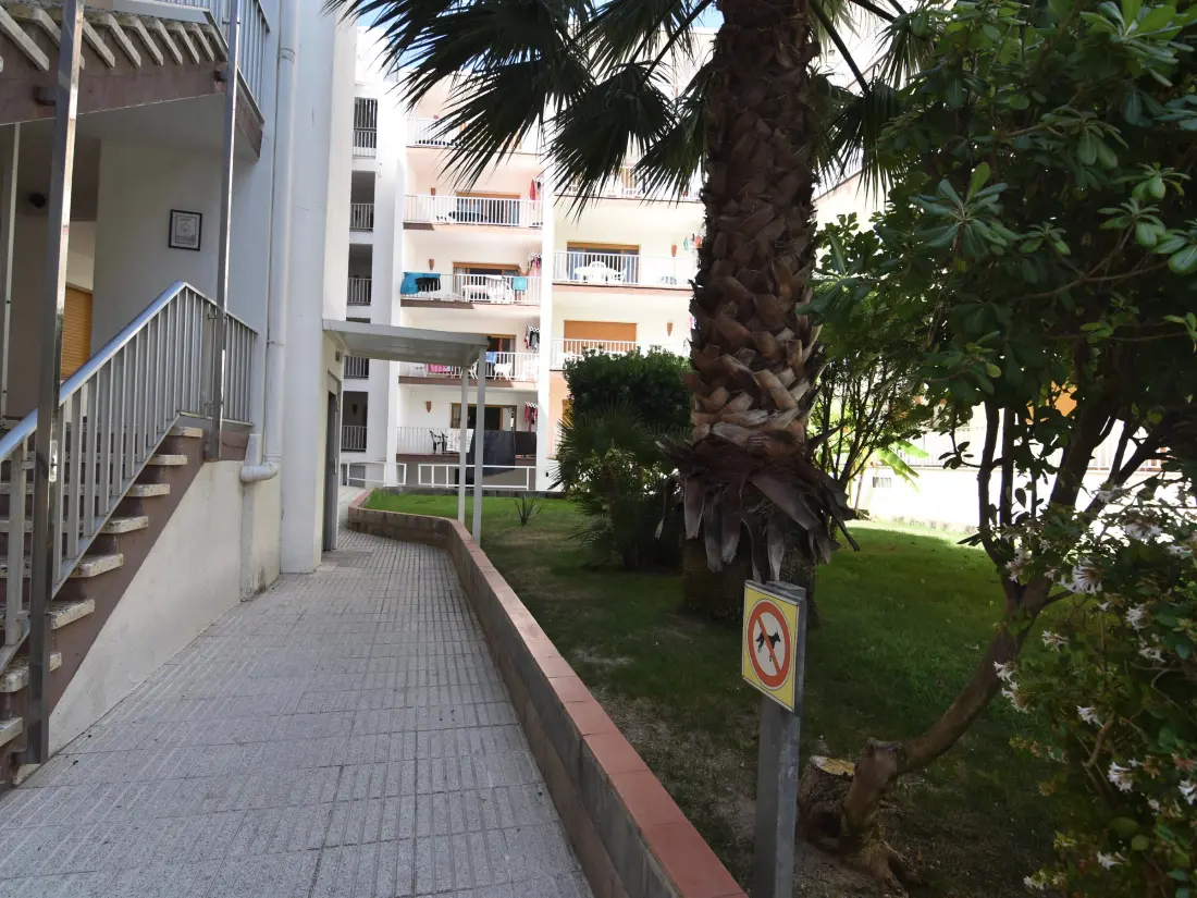 Location de Vacances Roses 484