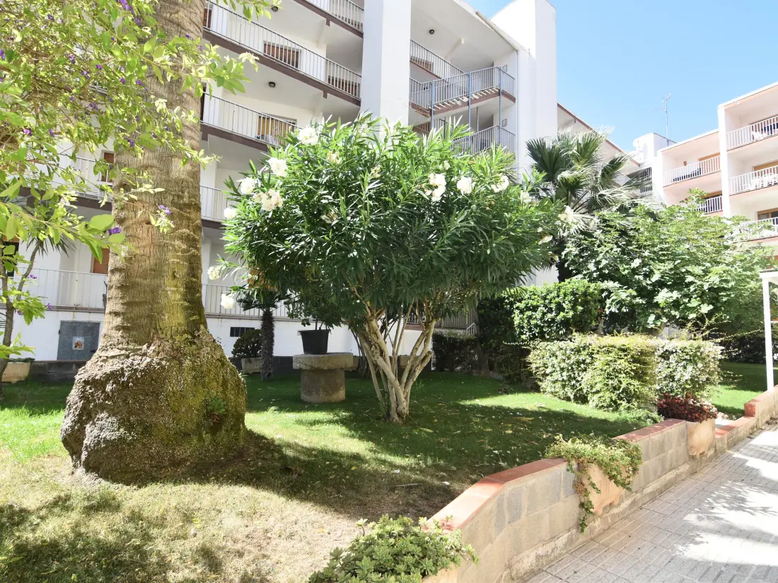 Location de Vacances Roses 484