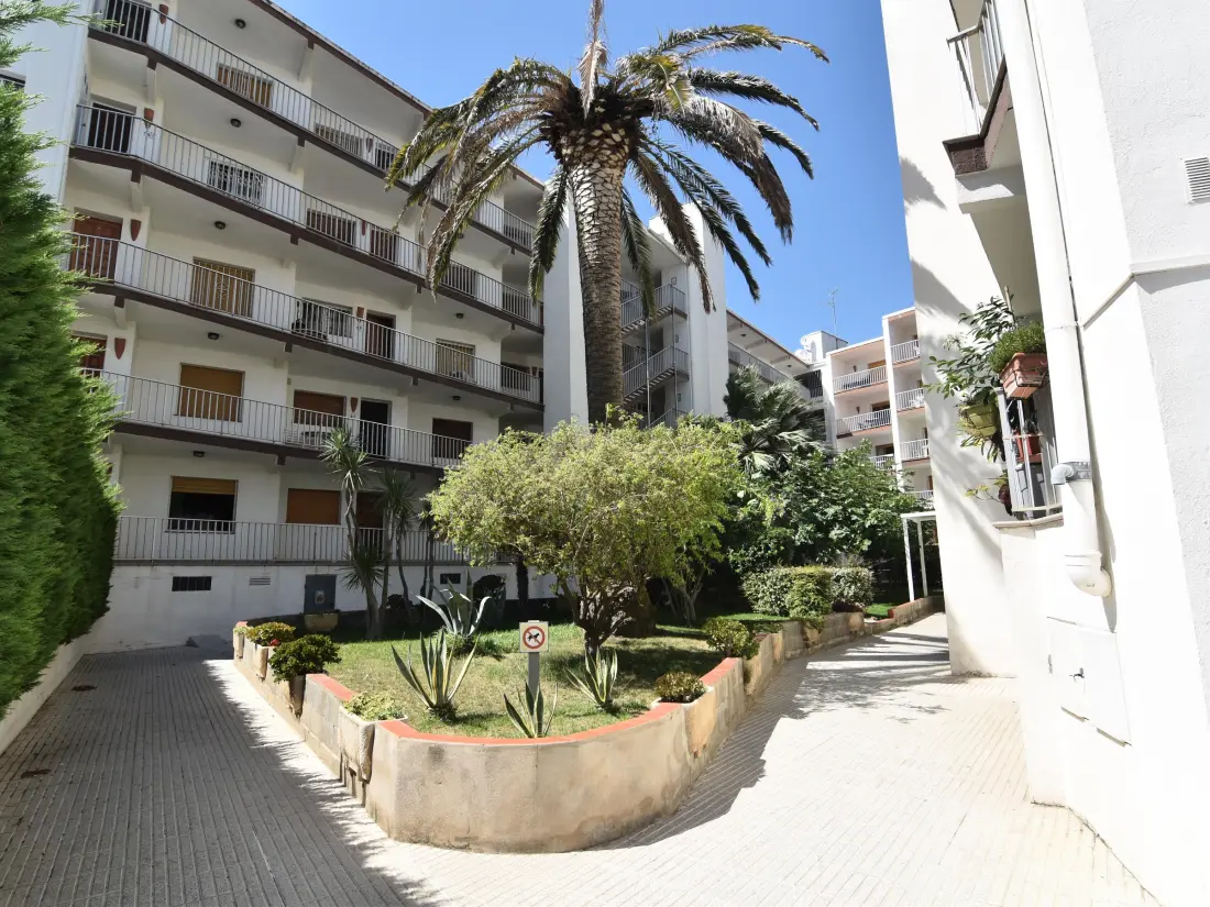 Location de Vacances Roses 484