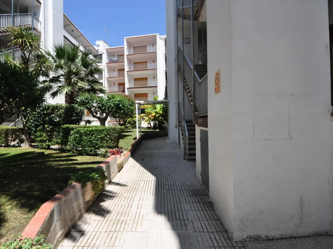 Location de Vacances Roses 484