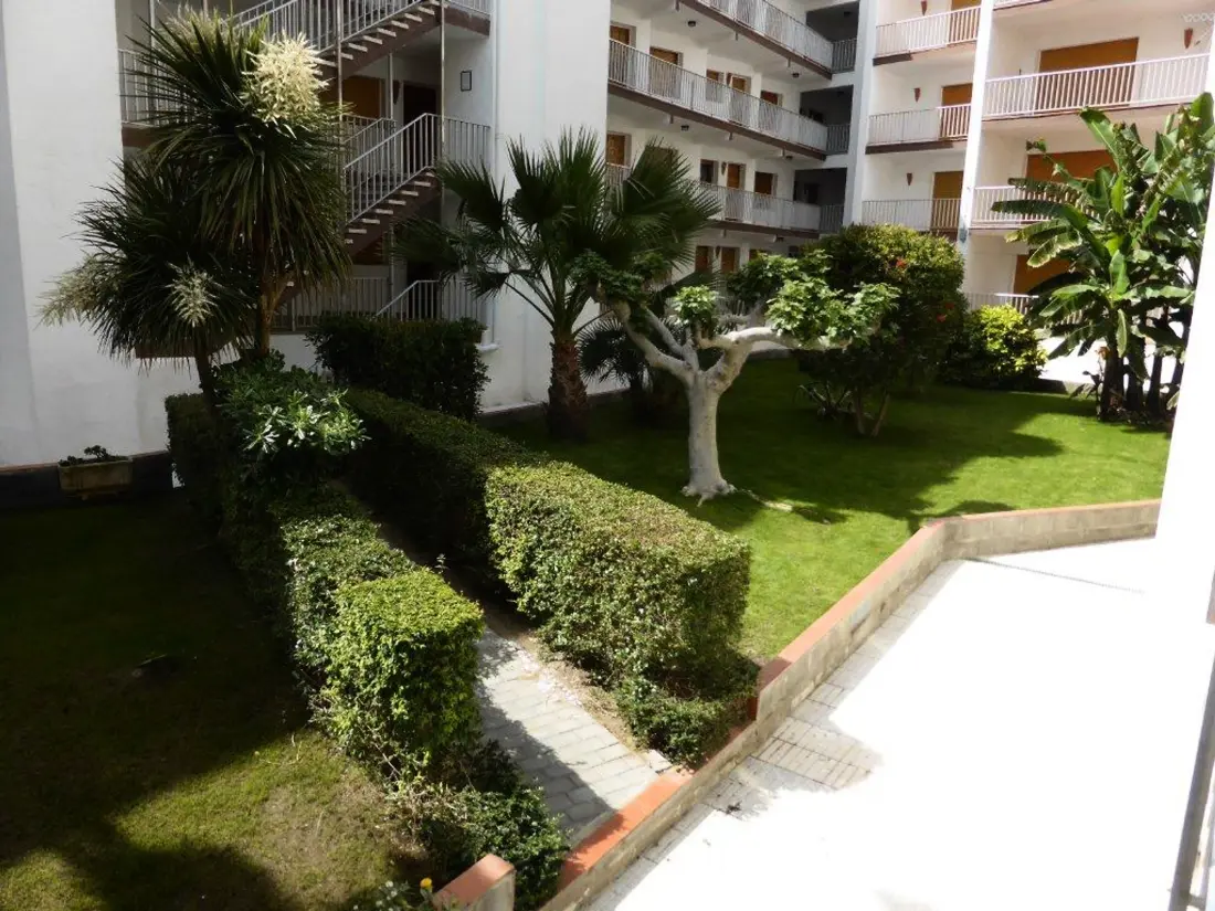 Location de Vacances Roses 484