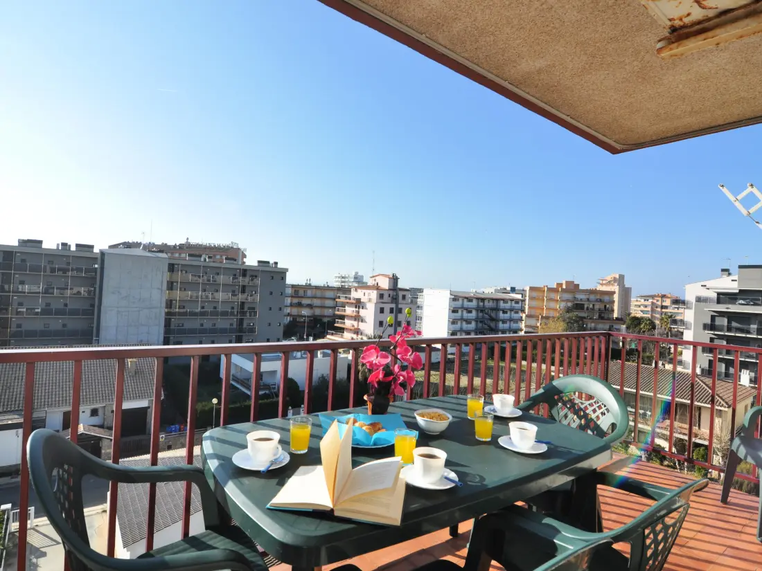 Location de Vacances Roses 485