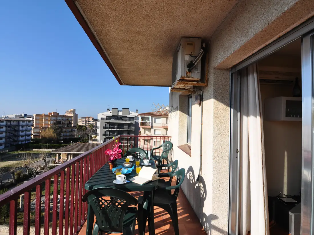 Location de Vacances Roses 485