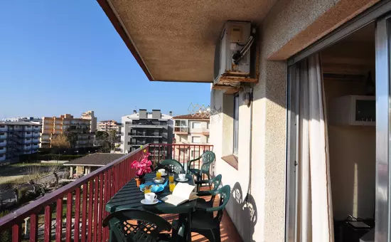 Location de Vacances Roses 485
