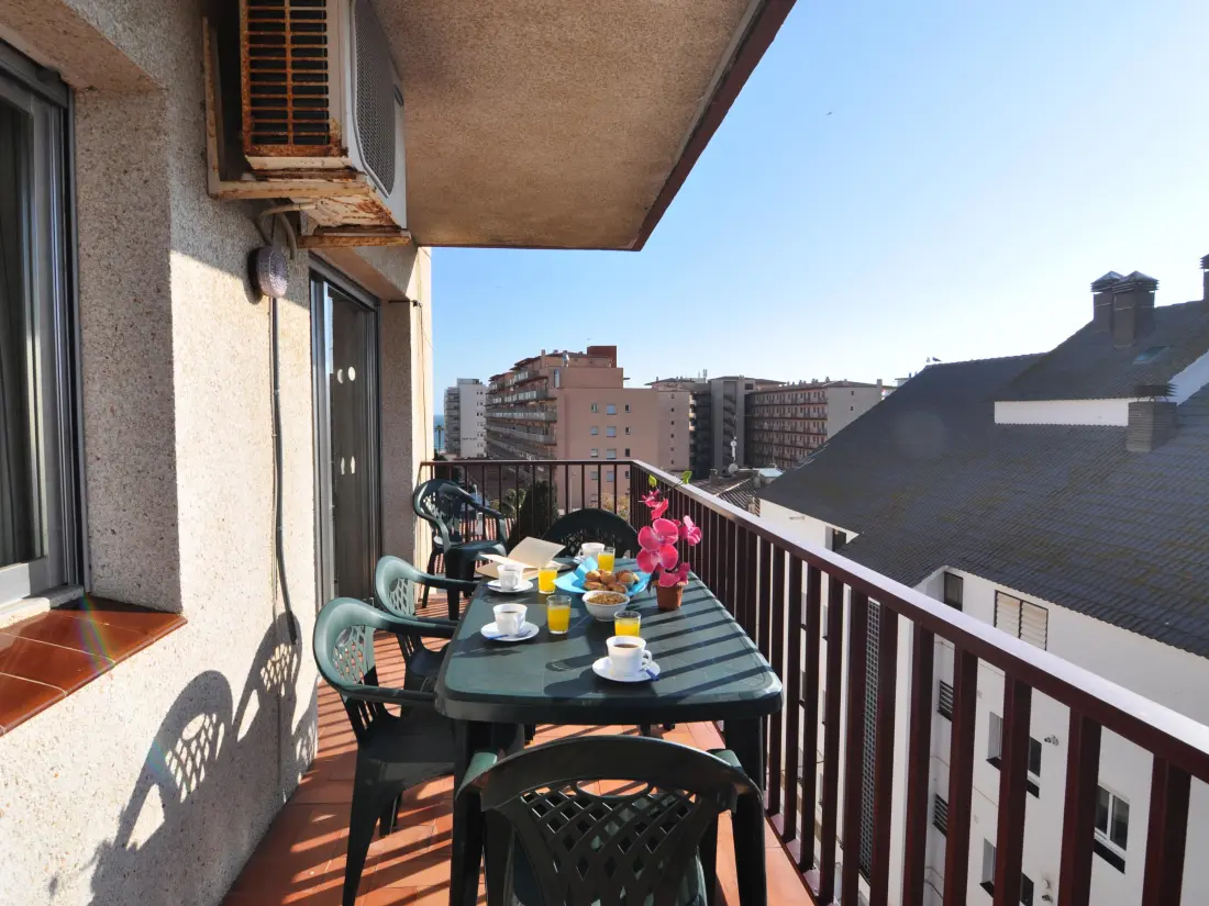 Location de Vacances Roses 485