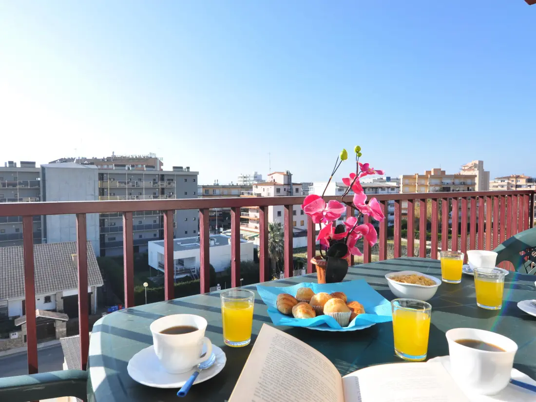Location de Vacances Roses 485