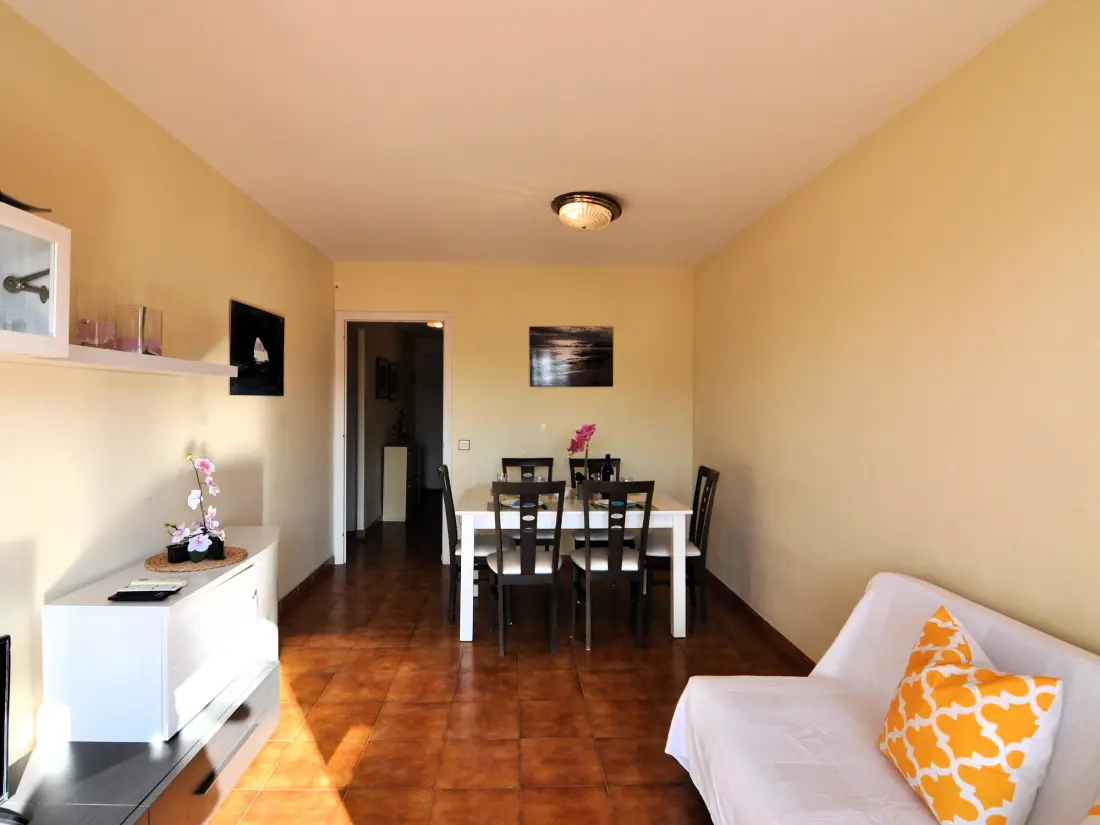 Location de Vacances Roses 485