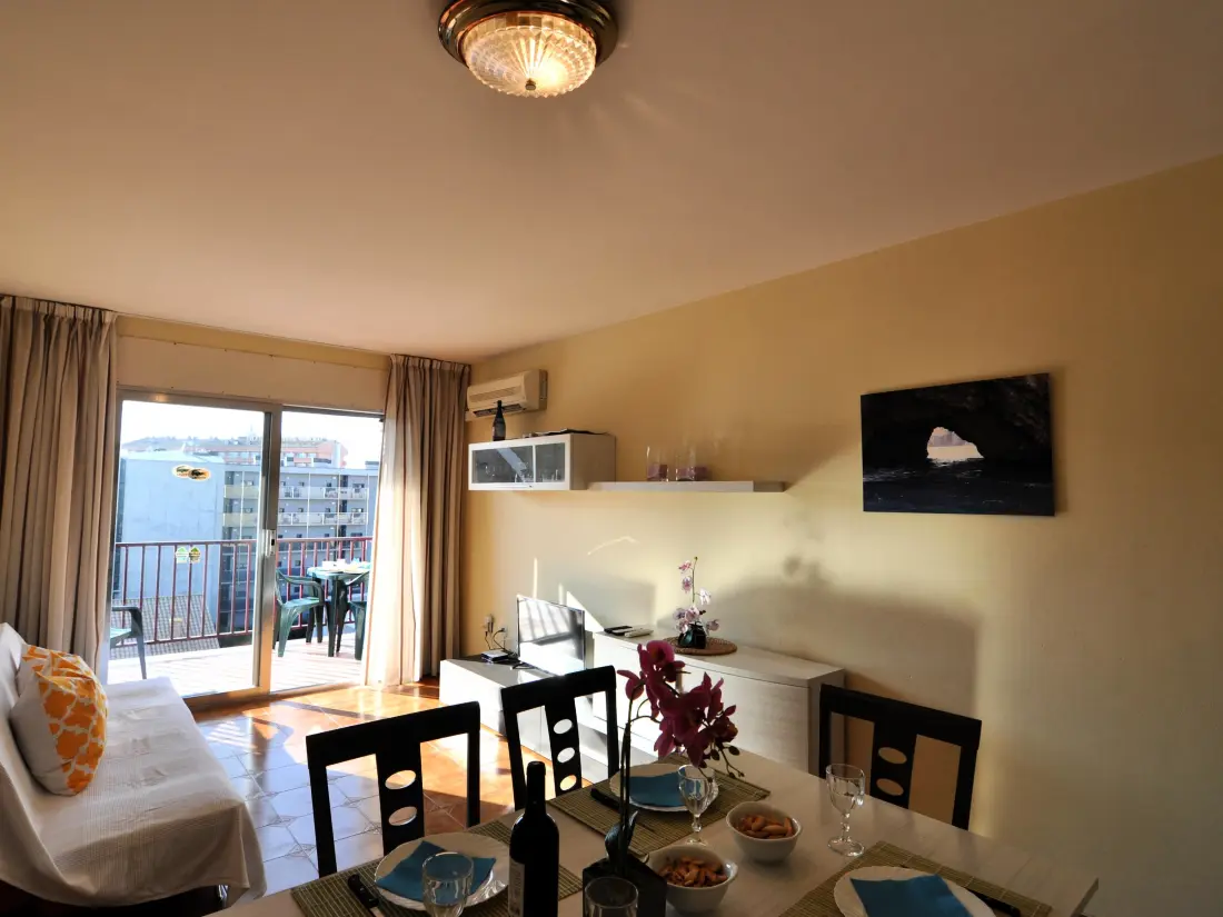 Location de Vacances Roses 485