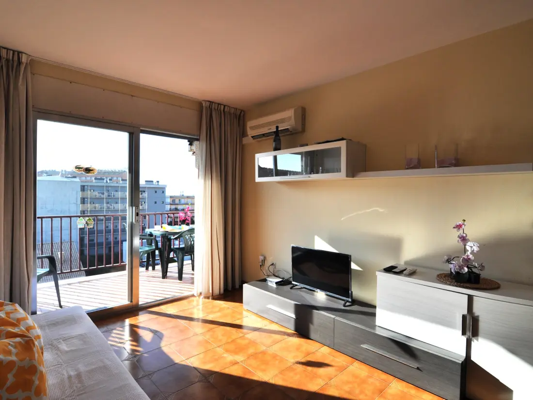 Location de Vacances Roses 485