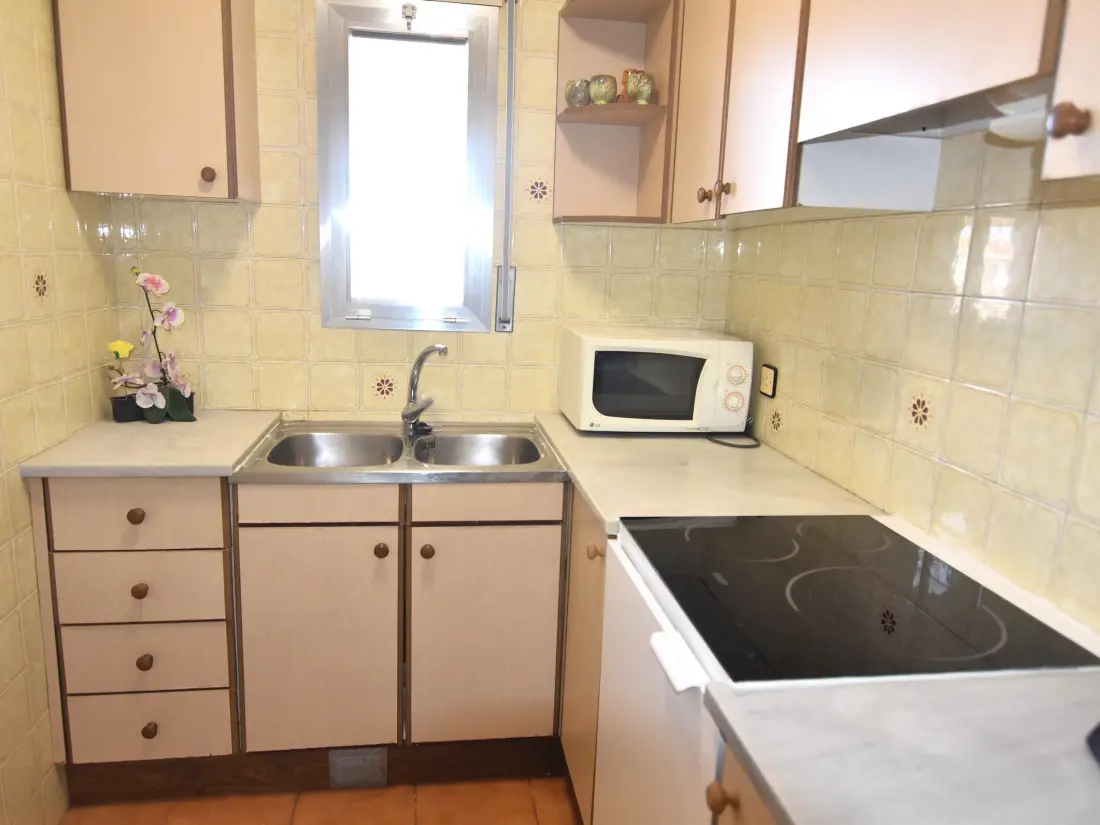 Location de Vacances Roses 485