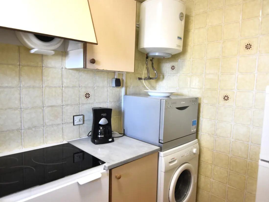 Location de Vacances Roses 485