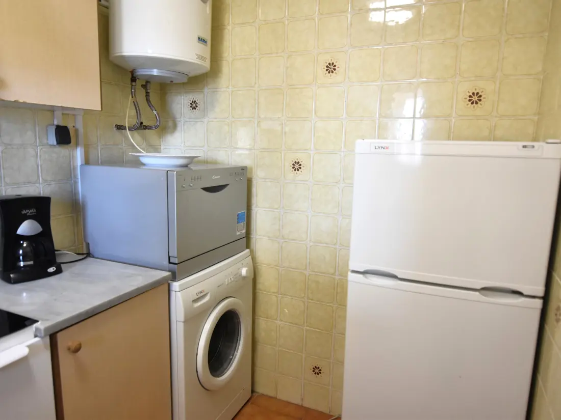 Location de Vacances Roses 485
