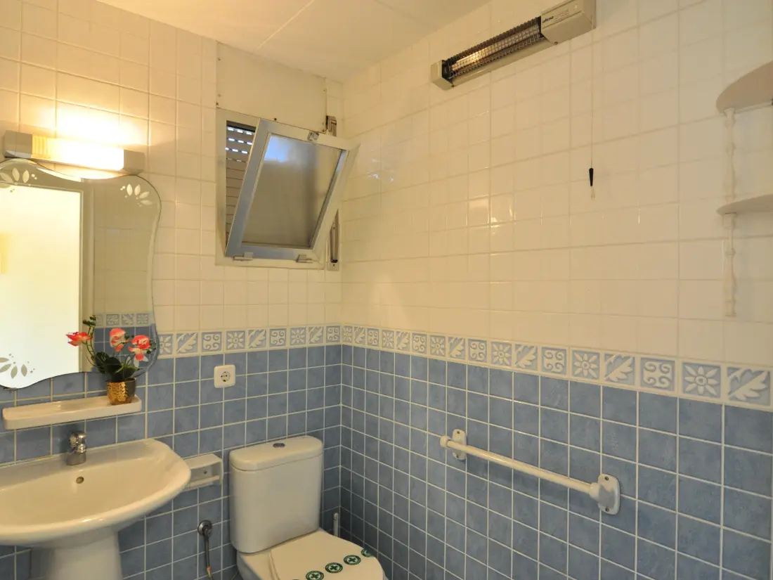 Location de Vacances Roses 485