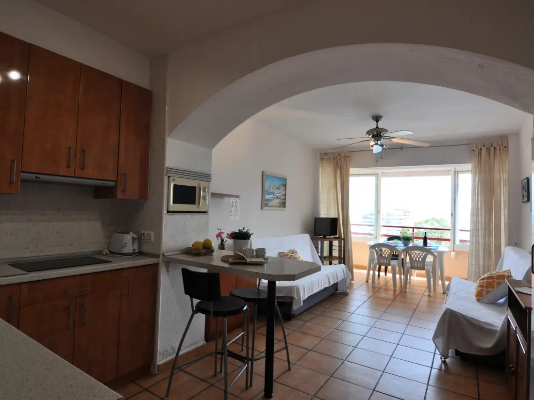 Location de Vacances Roses 486