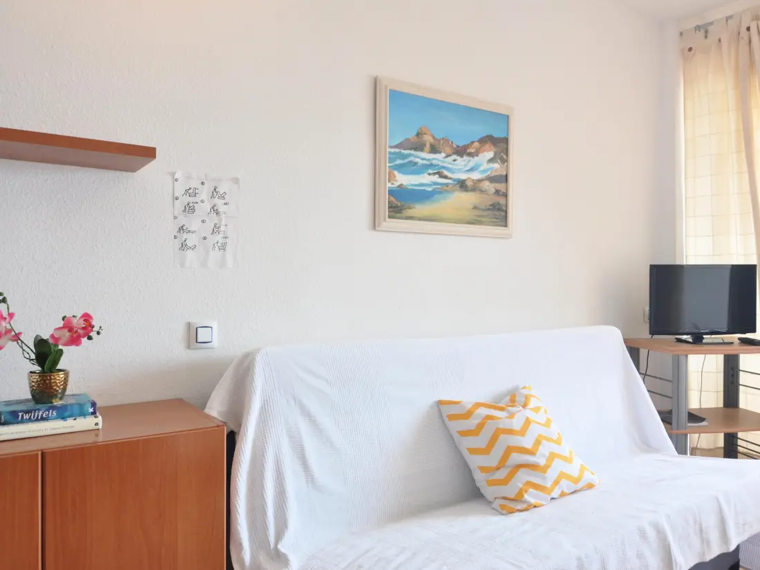 Location de Vacances Roses 486