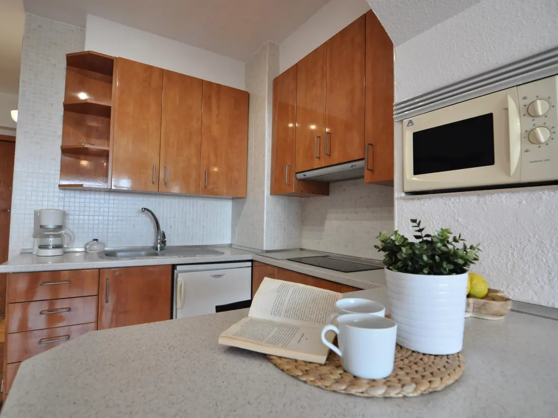 Location de Vacances Roses 486