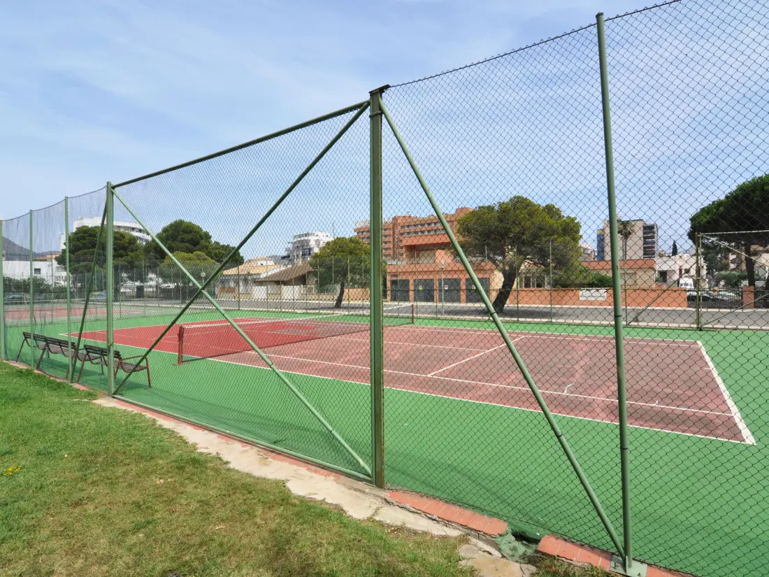 Location de Vacances Roses 486