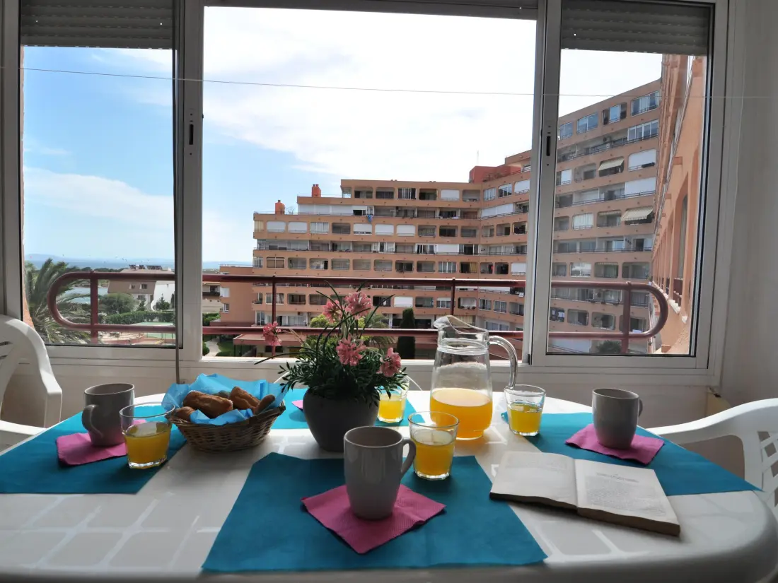 Location de Vacances Roses 487