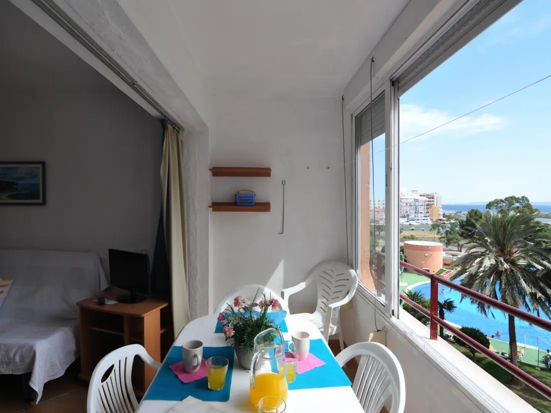 Location de Vacances Roses 487
