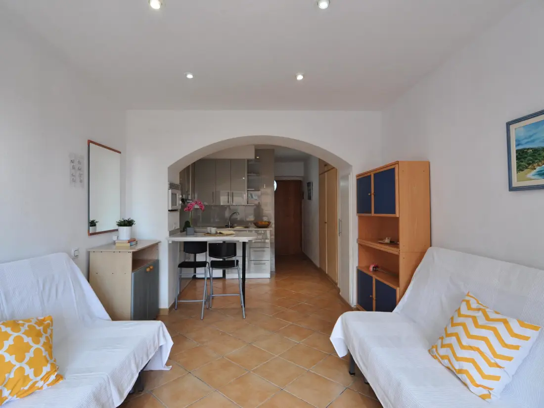 Location de Vacances Roses 487