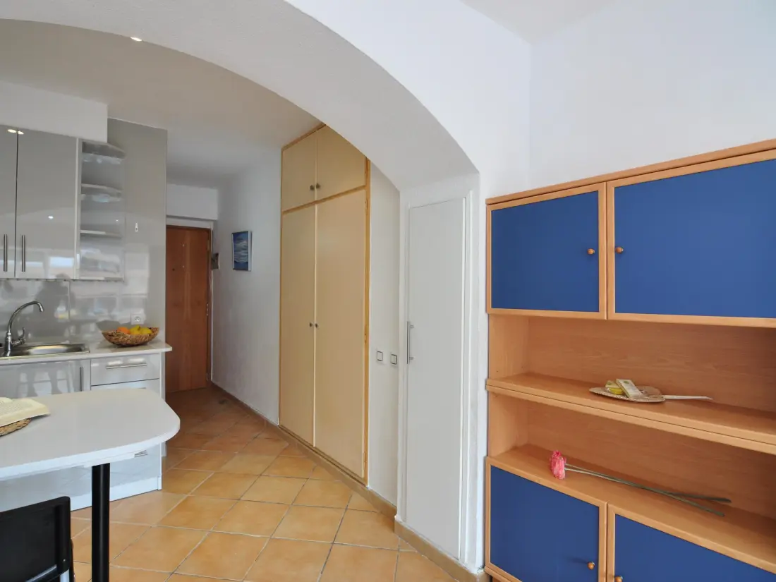 Location de Vacances Roses 487