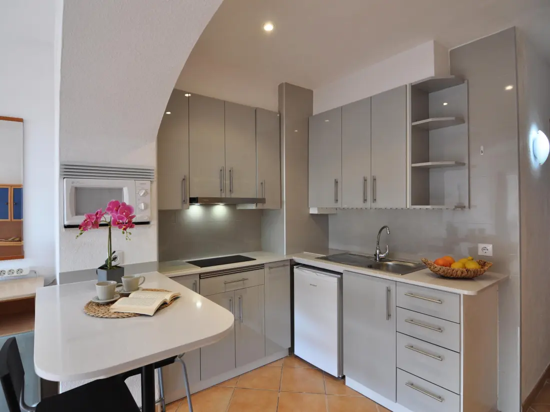 Location de Vacances Roses 487