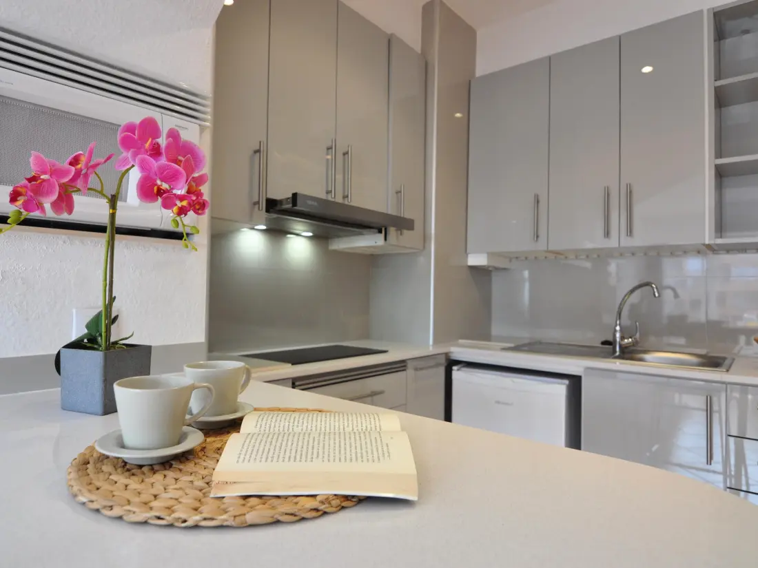 Location de Vacances Roses 487