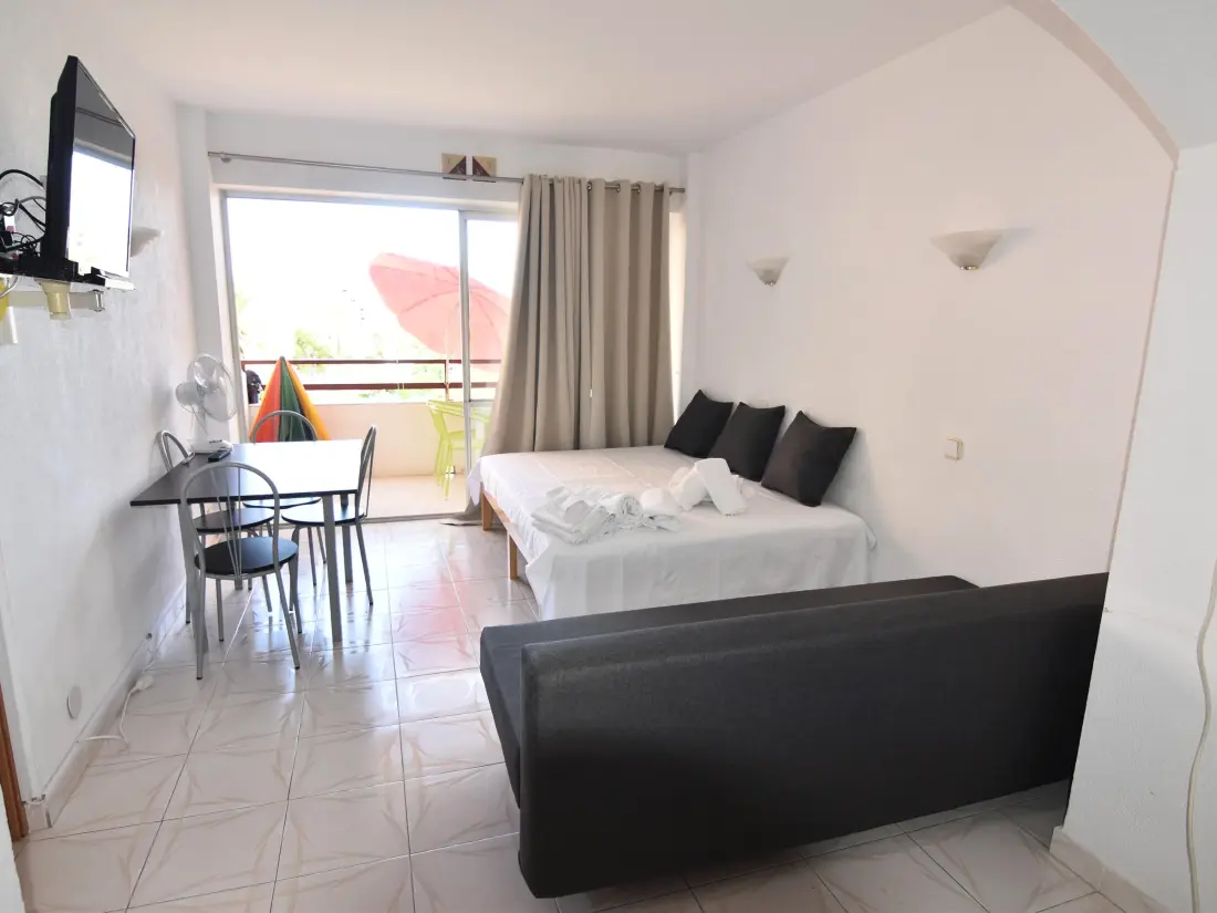 Location de Vacances Roses 491