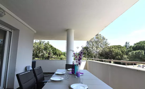 Location de Vacances Roses 492